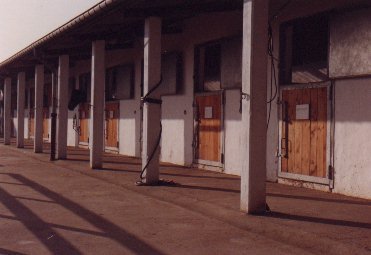 Die Außenboxen des Haras d'As im Jahr 1990