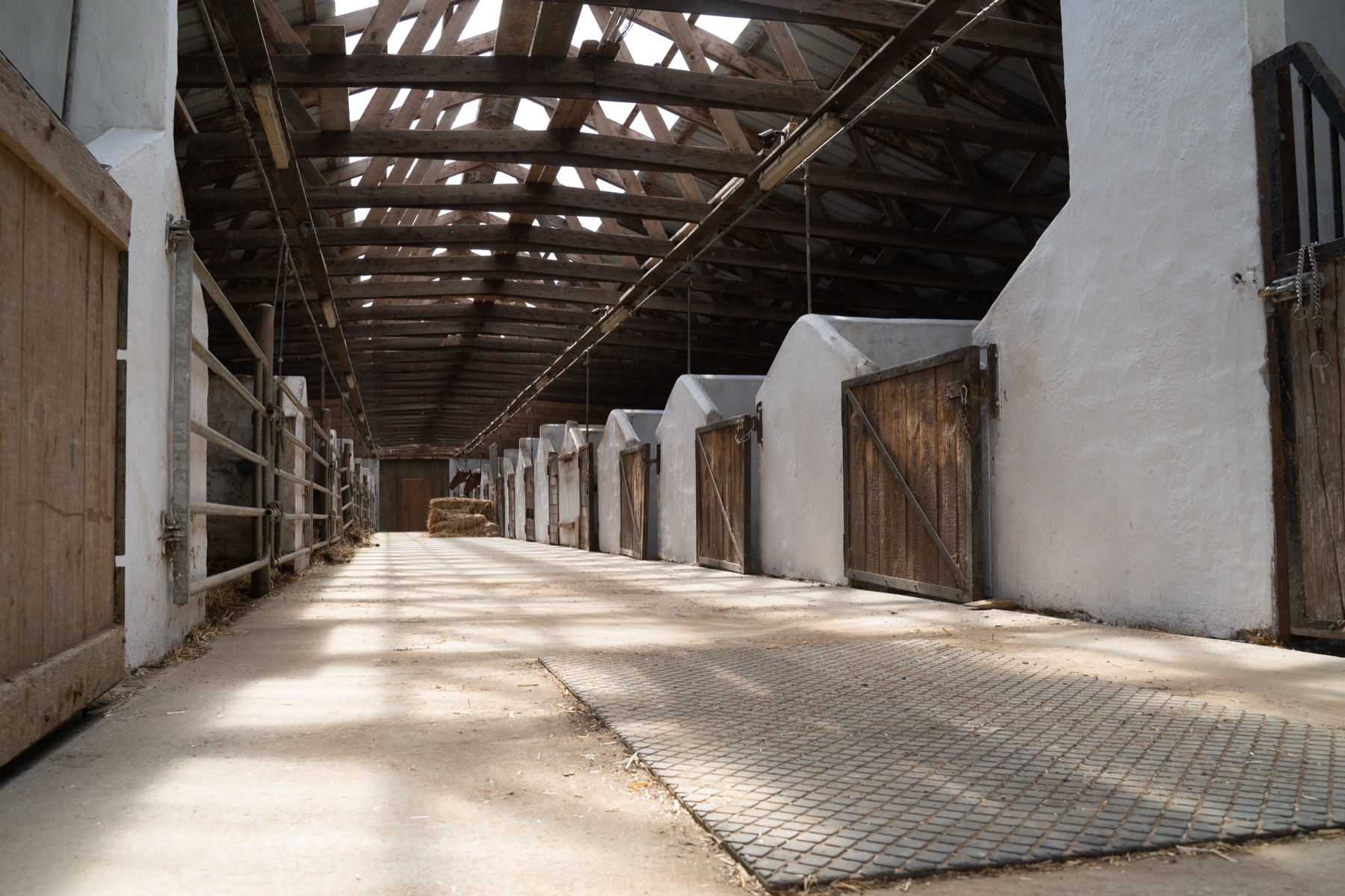 Innenboxen des Haras d'As