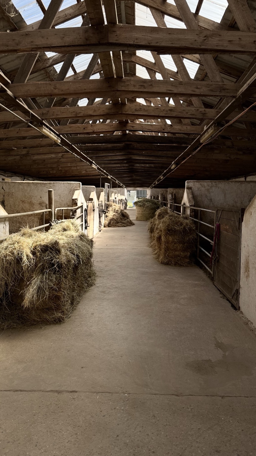 Gang zwischen den Innenboxen des Haras d'As